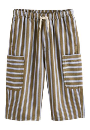 Next, REGULAR FIT - WIDE ON  - Shorts - khaki blue stripe