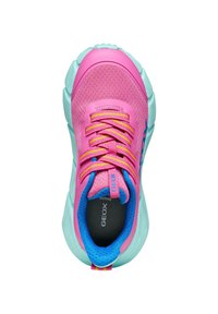 Sneaker rosa brillante con parte superiore in mesh, lacci gialli e suola turchese. L'interno presenta una fodera blu e una soletta firmata.