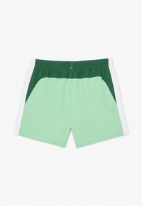 Shorts vert menthe avec un panneau vert foncé sur le côté gauche et des accents blancs. Taille élastique et texture lisse. Design décontracté.