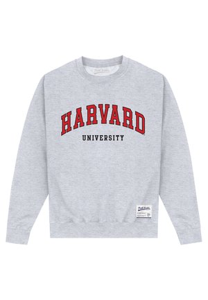 PARK FIELDS HARVARD UNIVERSITY SCRIPT - Sweater - heather grey