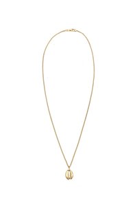 Goudkleurige ketting met een fijne schakel, voorzien van een cowrie schelp hanger, die een gestructureerde afwerking en een gladde finish vertoont.