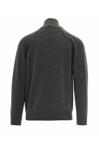 Maglione in maglia grigio scuro con un alto colletto, polsini e orlo a coste. Presenta un design semplice e una texture morbida. Vista posteriore mostrata.