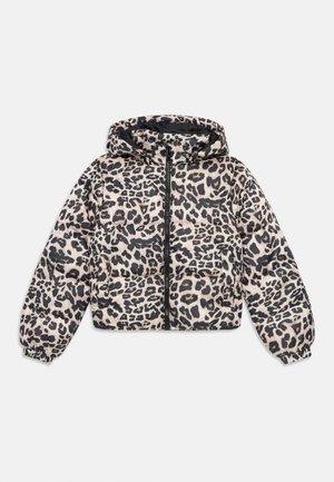 KOGDALIA PUFFER JACKET - Vinterjakke - silver mink