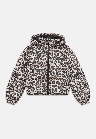 KOGDALIA PUFFER JACKET - Veste d'hiver - silver mink