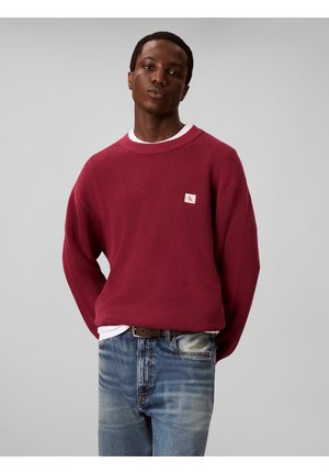 Junger Mann trägt einen roten Strickpullover mit kleinem Logo, blaue Jeans und ein weißes Hemd darunter, steht vor einem einfarbigen grauen Hintergrund.