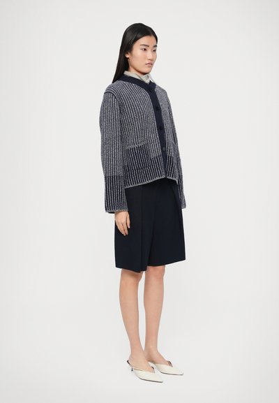 Pletený kardigán s tmavomodrými a bielymi pruhmi, so stojacím golierom, zapínaním na gombíky a prednými vreckami. Kombinovaný s tmavou sukňou a svetlými topánkami.