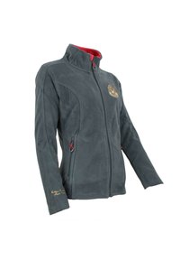 Peak Mountain ASAK - Veste polaire - gris