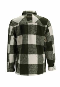 Dos d'une veste grande à carreaux verts, blancs et gris, avec manches longues, col, poignets boutonnés et une écusson rectangulaire près du col.