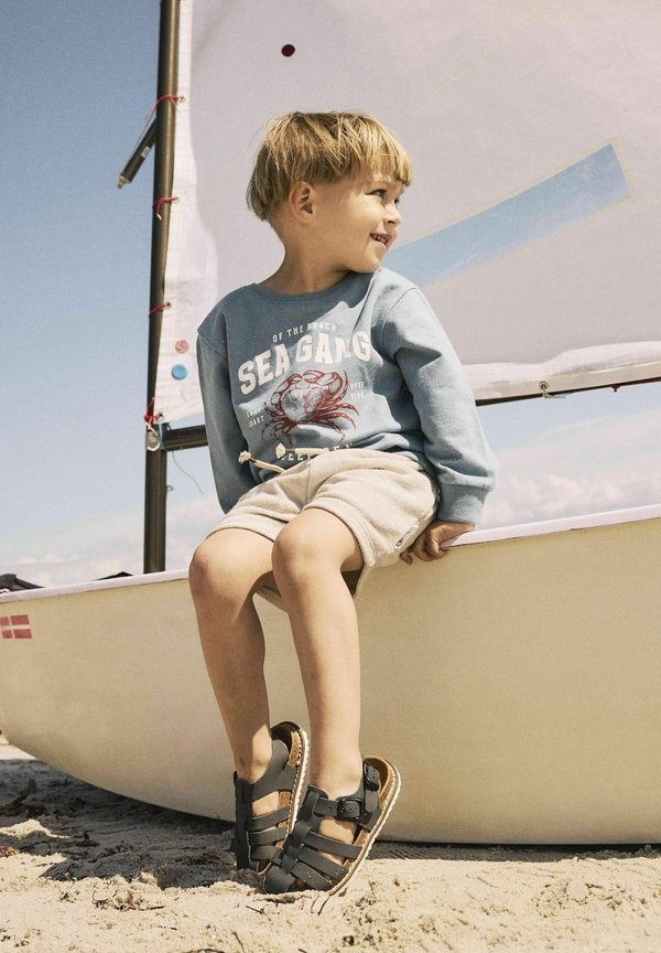 REGULAR FIT - Sweatshirt - spring lake