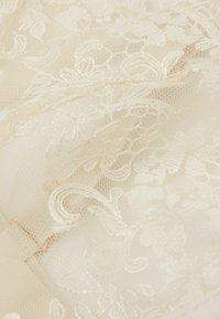 Tissu en dentelle d'un ivoire doux avec des motifs floraux complexes et une surface délicate et texturée; léger avec une apparence transparente.