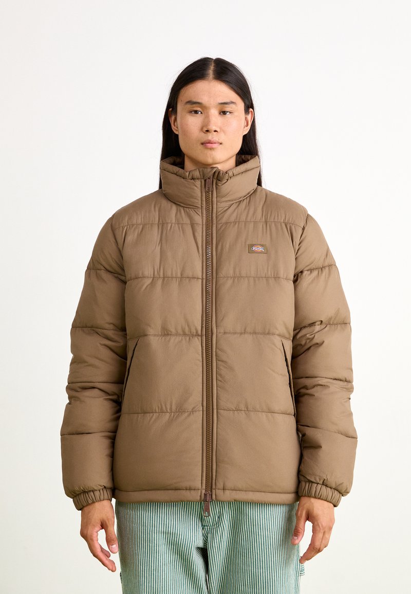 Dickies WALDENBURG JACKET - Zimní bunda - mushroom
