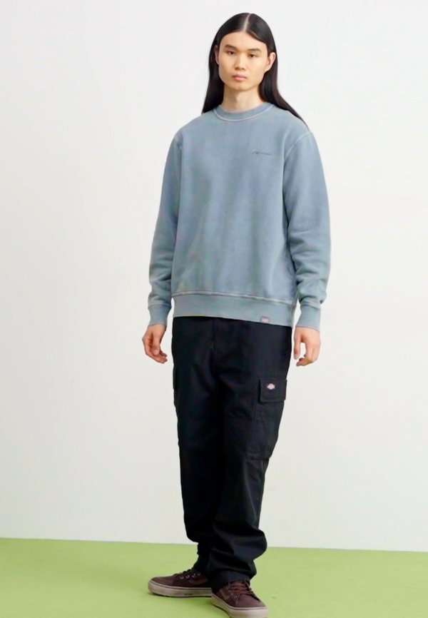 PLENTYWOOD  - Sweatshirt - stormy weather2