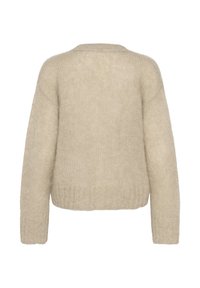 Beiger, gestrickter Pullover mit lockerem Schnitt, langen Ärmeln und geripptem Saum. Weiche Textur mit leicht flauschigem Erscheinungsbild. Rückansicht dargestellt.