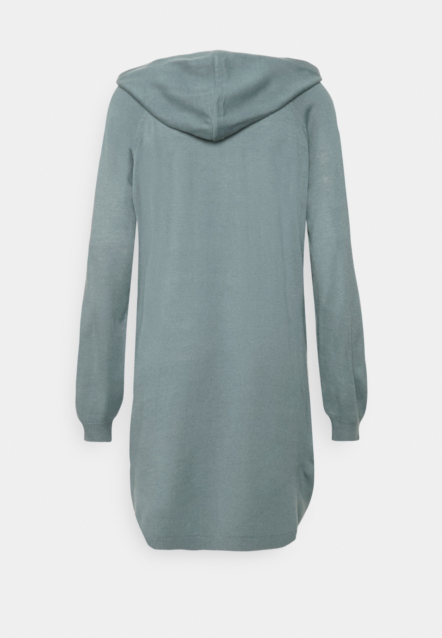 Noisy May NMADELE HOODIE DRESS 
