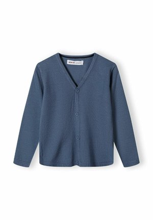 BUTTONED FRONT WITH V-NECK - Neule - blue