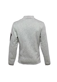 Peak Mountain CYPAR - Fleece trui - grey