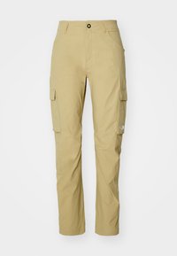 EXPLORATION CARGO PANT - Friluftsbukser - khaki stone