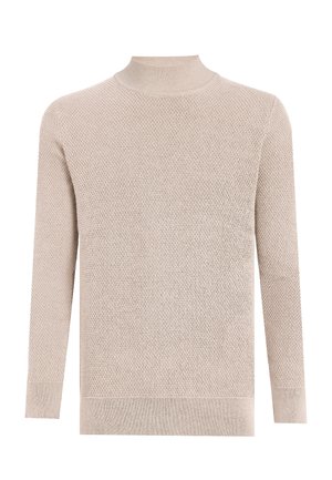 BASIC HALF TURTLENECK SWEATER - Striktrøje - beige