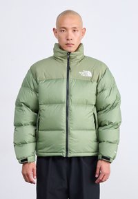 Mees, kes kannab heleda rohelise North Face pufferi jope kõrge kraega ja musti pükse, seisab ühtlase valge tausta ees.