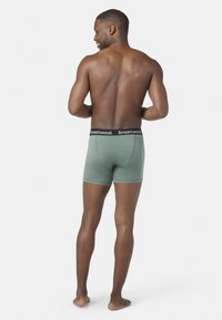 Smartwool Bokserit - sage