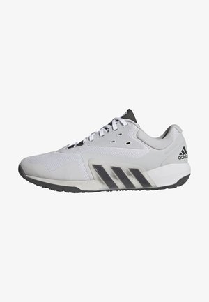 DROPSET TRAINER M - Training shoe - grey