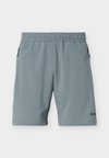 ZIP SHORTS - Sporta šorti - balsam green