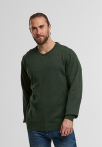 Zielony sweter z dzianiny, okrągłym dekoltem, ribbowanymi mankietami i dołem. Zawiera subtelne detale logo w kolorze niebieskim z przodu. Klasyczny krój.