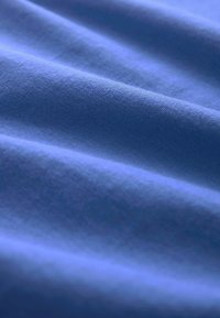 Next RICH CAP SLEEVE  - REGULAR FIT - Paprasti marškinėliai - blue