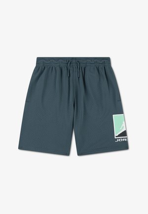 Donkergrijze sportshorts van mesh met elastische tailleband, trekkoord en groen-witte Jordan-logo op het linkeronderbeen.