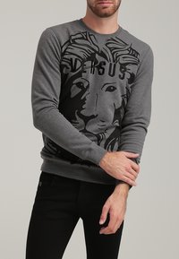 Sweatshirt gris à manches longues avec un graphique de lion noir et le texte "VERSUS". Encolure côtelée, matériau doux et coupe ajustée.