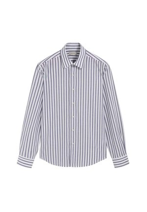 Camisa de manga larga con botones, a rayas verticales azules y blancas, con cuello puntiagudo, mostrada sobre un fondo blanco.