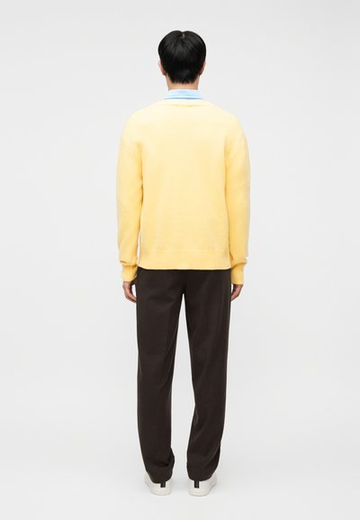 Άνδρας που στέκεται με την πλάτη και φορά ανοιχτό κίτρινο πουλόβερ, γαλάζιο πουκάμισο με γιακά, σκούρο καφέ παντελόνι και λευκά αθλητικά παπούτσια με πράσινες ρίγες.