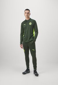 Puma BVB BORUSSIA DORTMUND TRAINING 1/4 ZIP - Sporto klubų atributika - myrtle/yellow alert