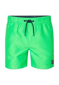 Vybráno, andean toucan