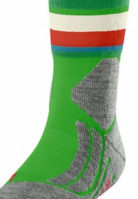 Calza verde con strisce orizzontali bianche, rosse e blu. Presenta un motivo grigio testurizzato lungo il lato e un accento rosso vicino alla punta.