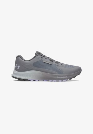 Gray athletic shoes with a mesh upper, reinforced toe, cushioned midsole, and textured outsole. Features a reflective stripe and branding.