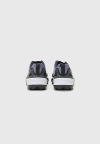 adidas Terrex TERREX SKYCHASER - Matkajalatsid - preloved violet/matte silver-coloured/dash grey