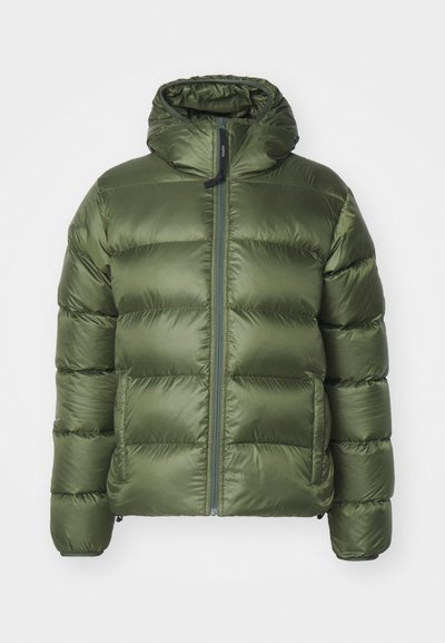 ASPESI BUDD - Dunjakker - verdone/dark green