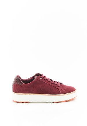 AMORTYL - Sneakers laag - bordeaux