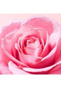 Miniatyrbild 3