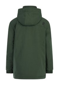 Grüne Kapuzenjacke mit elastischen Bündchen, glatter Oberfläche und Logodetail im oberen Rückenbereich. Rückansicht, keine zusätzlichen Merkmale sichtbar.