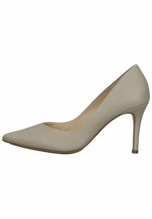 Beige leren hoge hak pump met een spitse neus en een slanke stiletto hak. De gladde textuur en het eenvoudige ontwerp verhogen de elegantie.