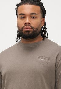 Ruda ilgarankovė palaidinė su apvalia iškirpte, su nedideliu kontrastingos spalvos spaudiniu krūtinės srityje. Minkšta, lygi audinio tekstūra.