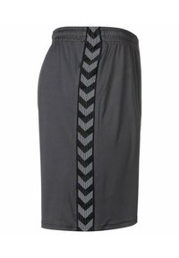 Grå träningsshorts i ett slätt tyg, med elastisk midja och en sidrand i svart zigzag-mönster.