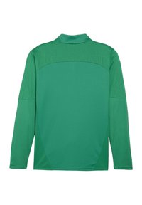 Polo a maniche lunghe di colore verde realizzato in tessuto testurizzato. Presenta un colletto liscio e dettagli a fantasia sulle spalle e sulla schiena.
