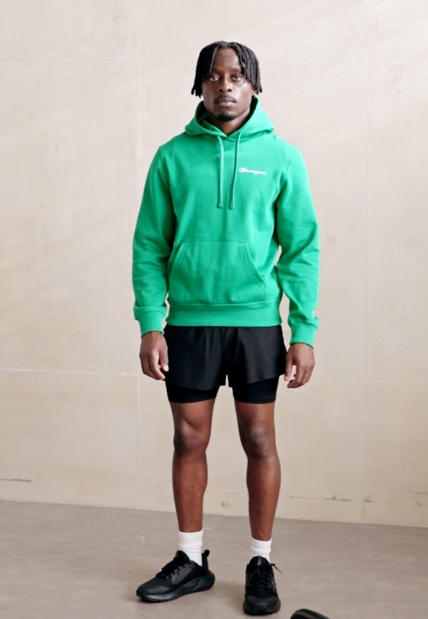 ICONS HOODIE SMALL LOGO - Hoodie2