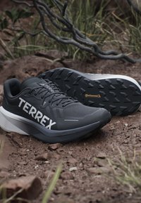adidas Terrex AGRAVIC 3 - Chaussures de running - core black grey one six
