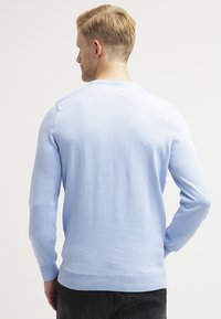 Pulover tricotat de culoare albastru deschis, cu mâneci lungi, decolteu rotund, mâneci și tiv cu dungă. Materialul pare moale și neted.