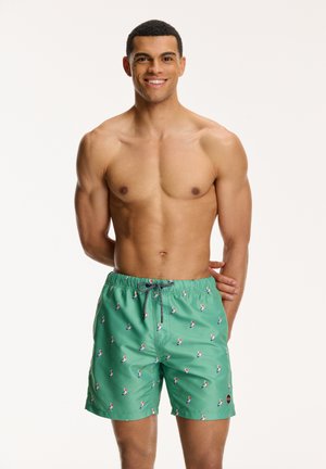 Shiwi REGULAR FIT PELICAN - Swimming shorts - sage green