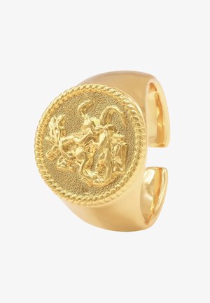 Goudkleurige ring met een textuur, ronde schijf met een gedetailleerd reliëfontwerp en touwachtige details langs de rand.